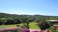Toscana Immobiliare - Garden of the elegant villa in sardinia surrounded by a luxuriant garden with swimming pool
