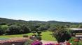 Toscana Immobiliare - Garden of the elegant villa in sardinia surrounded by a luxuriant garden with swimming pool