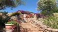 Toscana Immobiliare - Sardinian style staircase elegant villa in sardinia surrounded by a luxuriant garden with swimming pool