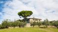 Toscana Immobiliare - whole view of the Luxury ancient Villa for sale Greve Chianti with pool and garden Florence