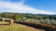 Toscana Immobiliare - 360 view from the Luxury ancient Villa for sale Greve Chianti with pool and garden Florence