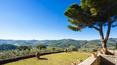 Toscana Immobiliare - garden with view of the Luxury ancient Villa for sale Greve Chianti with garden Florence