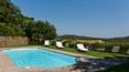 Toscana Immobiliare - swimming pool of the house in punta ala Tuscany villa for sale in Punta Ala with pool, garden and garage
