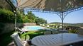 Toscana Immobiliare - gazebo near the swimming pool of the house in punta ala Tuscany villa for sale in Punta Ala with pool, garden and garage