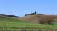 Toscana Immobiliare - tuscan hills near the farmhouse in hilly panoramic position to restore in Torrita di Siena