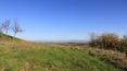 Toscana Immobiliare - tuscan hills near the farmhouse in hilly panoramic position to restore in Torrita di Siena