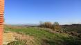 Toscana Immobiliare - tuscan hills near the farmhouse in hilly panoramic position to restore in Torrita di Siena