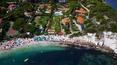Toscana Immobiliare - Aerial photo of the villa for rent in Elba Island