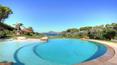 Toscana Immobiliare - The property also includes a beautiful pool overlooking the sea, inserted in tended garden from which there is direct access to the beach.