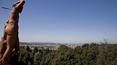 Toscana Immobiliare - panoramic view of florence