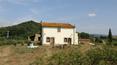 Toscana Immobiliare - At only 16 km from the sea farm for tourist receptive, with vineyards and olive groves.