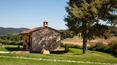 Toscana Immobiliare - tuscan farmhouse; Casolare in pietra con piscina, Jacuzzi, dependance, oliveto, terreni di proprietà in posizione tranquilla e panoramica a trequanda, Siena, Toscana