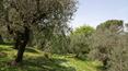 Toscana Immobiliare - Tuscany Luxury real estate properties near the center of the town of Cortona. 