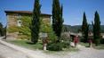 Toscana Immobiliare - Holiday house in Tuscany
