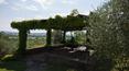 Toscana Immobiliare - Farm in panoramic position