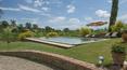 Toscana Immobiliare - Garden with pool