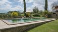 Toscana Immobiliare - swimming pool (size m 11x4,5 with salt depuration system) 