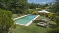 Toscana Immobiliare - panoramica sulla piscina e giardino