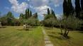 Toscana Immobiliare - Garden of the luxury villa for sale in Arezzo