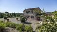 Toscana Immobiliare - The property is located on an area of 30 hectares covered in vineyards, olive groves, forests and arable land with sweeping view.