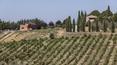 Toscana Immobiliare - The farm is surrounded by vineyards, which follow the gentle contours of the land. In the large basement of 350 square meters takes place all the stages of winemaking, from the harvest to aging.