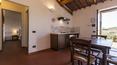 Toscana Immobiliare - The farm is surrounded by vineyards, which follow the gentle contours of the land. In the large basement of 350 square meters takes place all the stages of winemaking, from the harvest to aging.