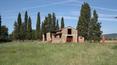 Toscana Immobiliare - real estate properties in Tuscany consists of stone farmhouse, two outbuildings and 16 ha of land.