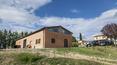 Toscana Immobiliare - The farm is surrounded by vineyards, which follow the gentle contours of the land. In the large basement of 350 square meters takes place all the stages of winemaking, from the harvest to aging.