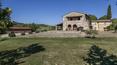 Toscana Immobiliare - In the Chianti hills, Tuscany area renowned for its precious wines, is on sale this farmhouse with vineyard, winery, farm and pool.