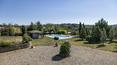 Toscana Immobiliare - The property is located on an area of 30 hectares covered in vineyards, olive groves, forests and arable land with sweeping view.
