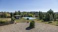 Toscana Immobiliare - The property is located on an area of 30 hectares covered in vineyards, olive groves, forests and arable land with sweeping view. 