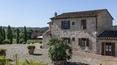 Toscana Immobiliare - The property is located on an area of 30 hectares covered in vineyards, olive groves, forests and arable land with sweeping view.