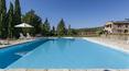 Toscana Immobiliare - In the Chianti hills, Tuscany area renowned for its precious wines, is on sale this farmhouse with vineyard, winery, farm and pool.
