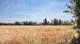 Toscana Immobiliare - Real property consists of stone farmhouse, two outbuildings and 16 ha of land.
