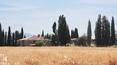 Toscana Immobiliare - Real property consists of stone farmhouse, two outbuildings and 16 ha of land.