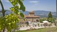 Toscana Immobiliare - The estate is composed of a series of restored, elegantly furnished buildings: one principal land house over two floors and additional four stone outbuildings.