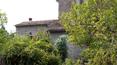Toscana Immobiliare - The house is on three levels and is composed as follows:Ground floor: Three rooms used as a cellar, a storage room and an area with wood oven.