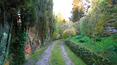 Toscana Immobiliare -  Made entirely of stone, the property boasts a total area of about 650 square meters and consists of the main house and a large barn of 150 sqm to be transformed into dependence.