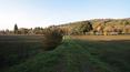 Toscana Immobiliare - Land of the property