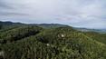 Toscana Immobiliare - Aerial view of the property for sale in Arezzo, Tuscany
