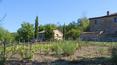 Toscana Immobiliare - Farmhouse with land and vineyard for sale in Montalcino, Siena, Tuscany