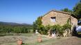 Toscana Immobiliare - Farmhouse with land and vineyard for sale in Montalcino, Siena, Tuscany