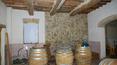 Toscana Immobiliare - Casali e rustici in vendita a Montalcino