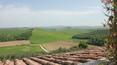 Toscana Immobiliare - Azienda agricola in vendita con Agriturismo a Siena, Asciano