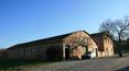 Toscana Immobiliare - Tenuta in vendita con Agriturismo a Siena, Asciano