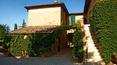 Toscana Immobiliare - The total land is over 16.5 hectares of which 11 are arable land, just under 3 hectares of vineyards and forest for the rest.