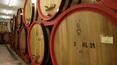Toscana Immobiliare - wine production tuscany