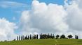 Toscana Immobiliare - country house composed of the main house and two annexes with 5 hectares of land.