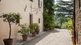 Toscana Immobiliare -  Wonderful country estate in hilly position near Arezzo.