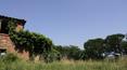 Toscana Immobiliare - The property includes more than 550 square meters house, land of about 14 hectares 